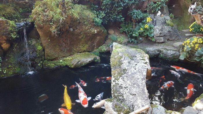 Giappone tradizionale - 2