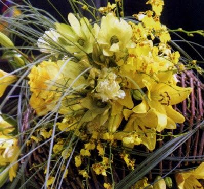 Consigli sui fiori? - 6