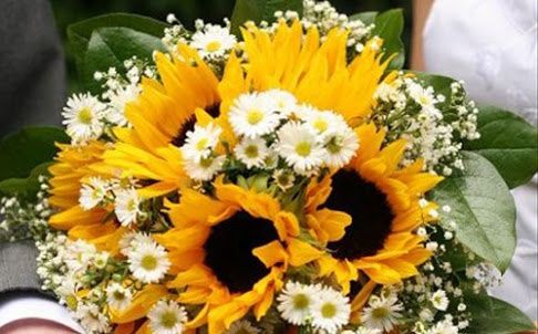 Consigli sui fiori? - 8