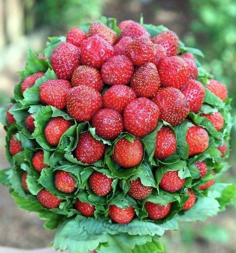 Allestimenti floreali con frutta e verdura - 3