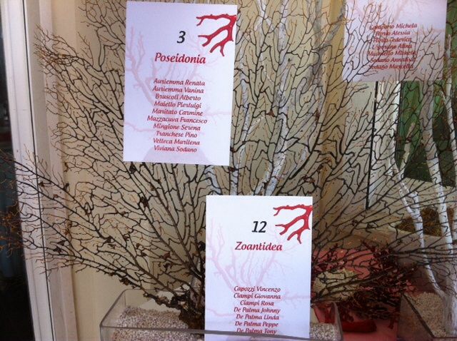 Tema marino ma color rosso!! - 13