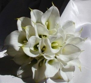 Fiori bouquet vs allestimenti - 1