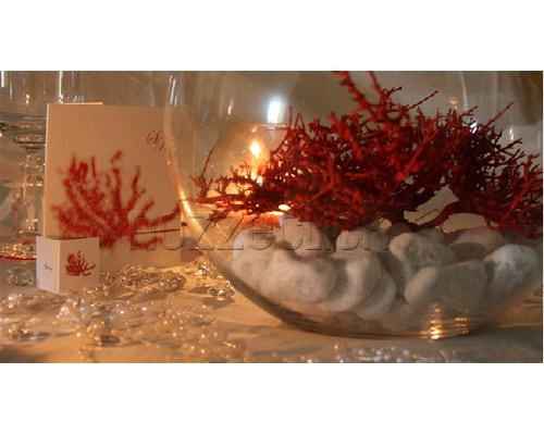 Tema marino ma color rosso!! - 5