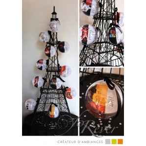 Matrimonio tema parigi - 11