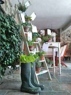 Tableu mariage con piantine - 1