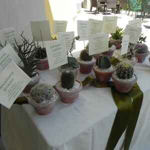 Tableu mariage con piantine - 6