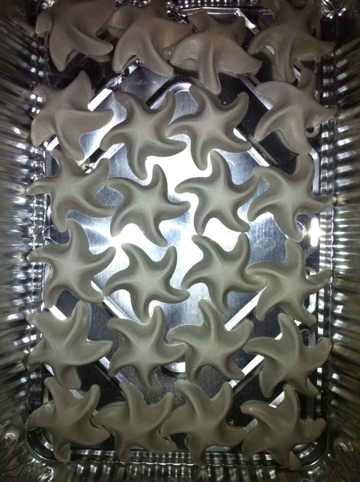 I miei gessetti e prova bomboniera non invitati al ricevimento! - 2