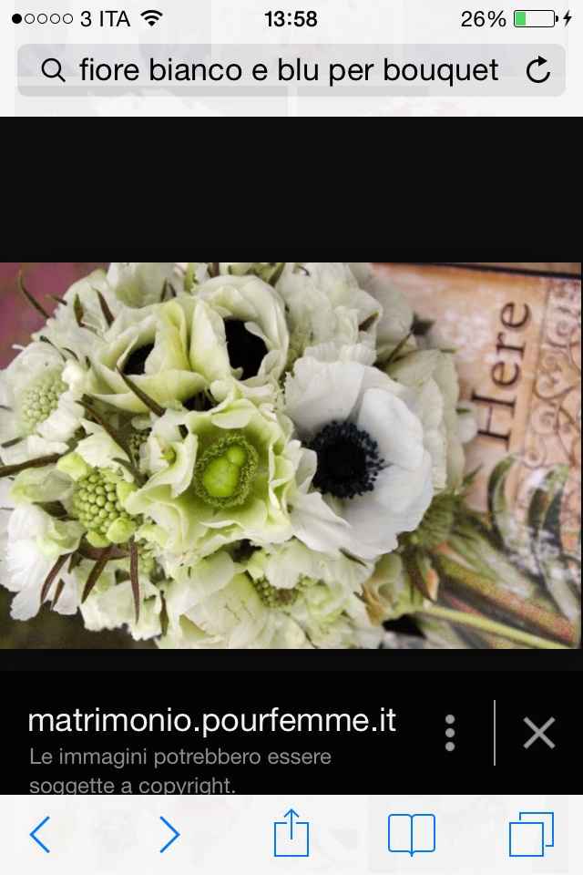 Come si chiama questo fiore??? - 1