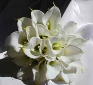 Fiori bouquet vs allestimenti - 1