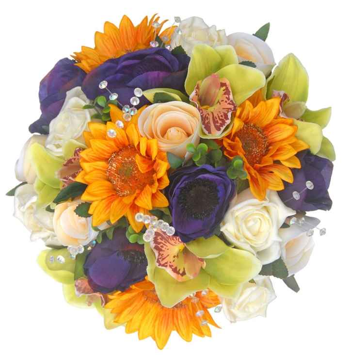 Cambio di idee sui colori - 5