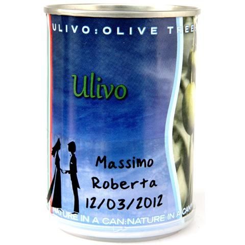 Bomboniera: piantine d'ulivo - 1