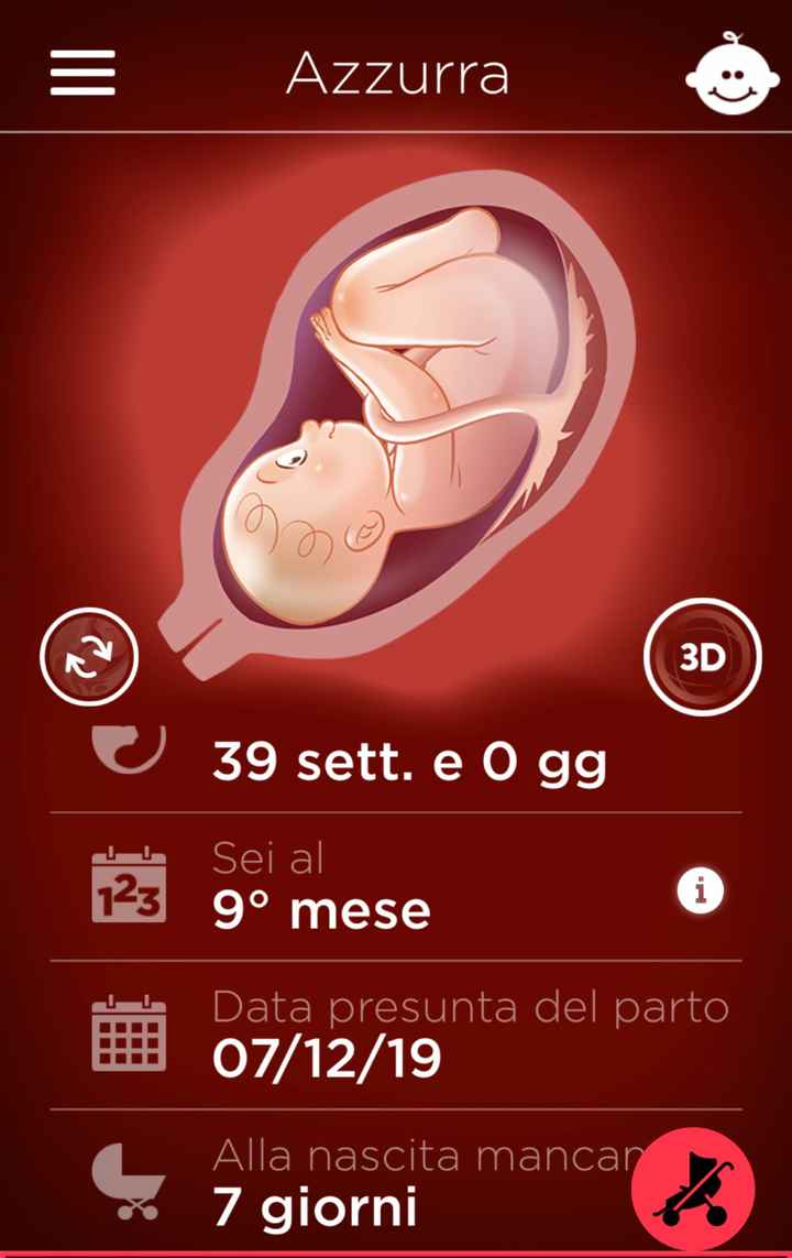 Future mamme "dicembrine" 2019 💙💗 - 1