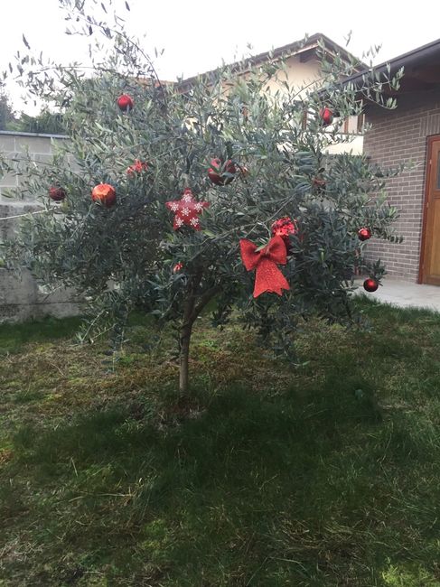 It's christmas time! mi fate vedere i vostri alberelli? - 1