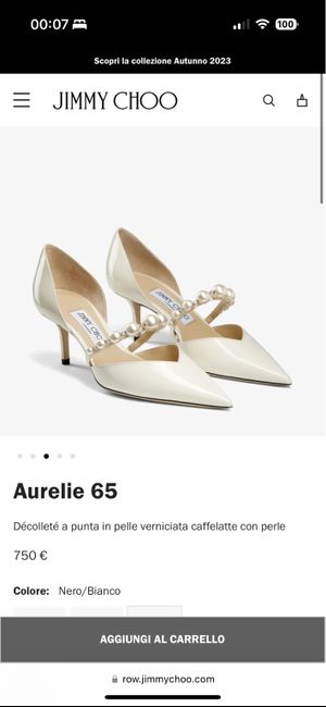 Scarpe, scarpe, scarpe e... ancora scarpe! 2