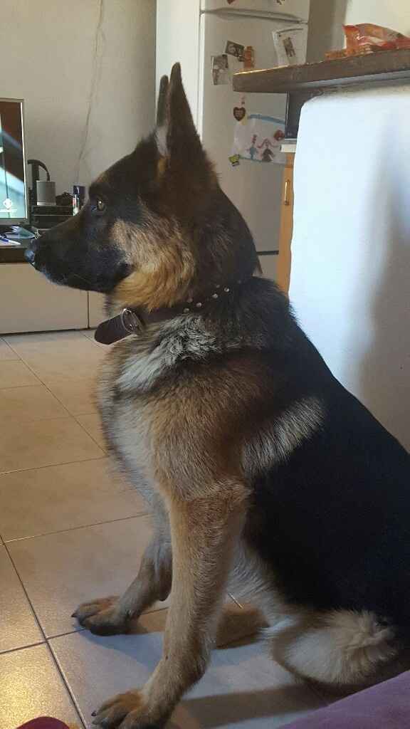 Ecco il nostro "bimbo" - 1