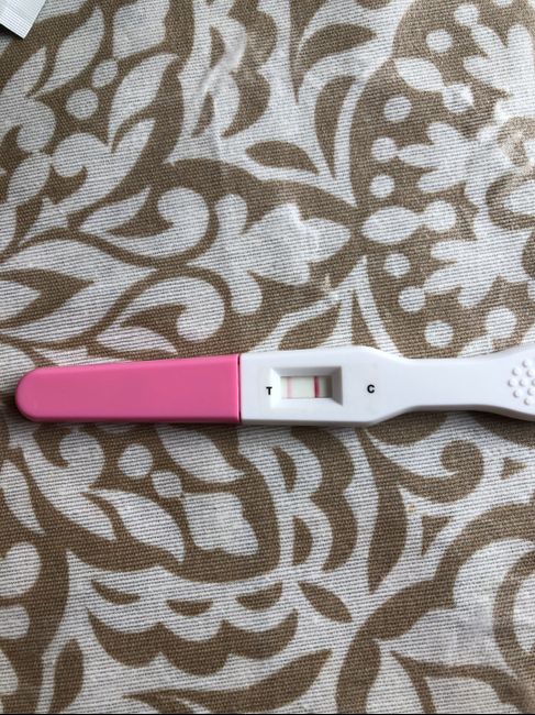 Non sono incinta ma devo fare la Beta... - 1