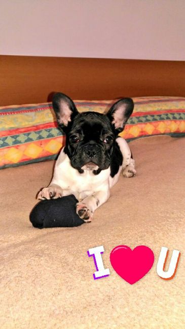 Serata nostalgica - 1