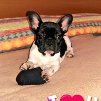 Serata nostalgica - 1