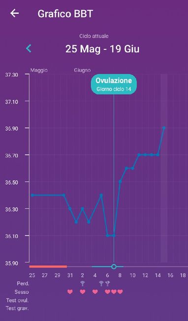 Aspiranti pancine di giugno 🌻 - 1