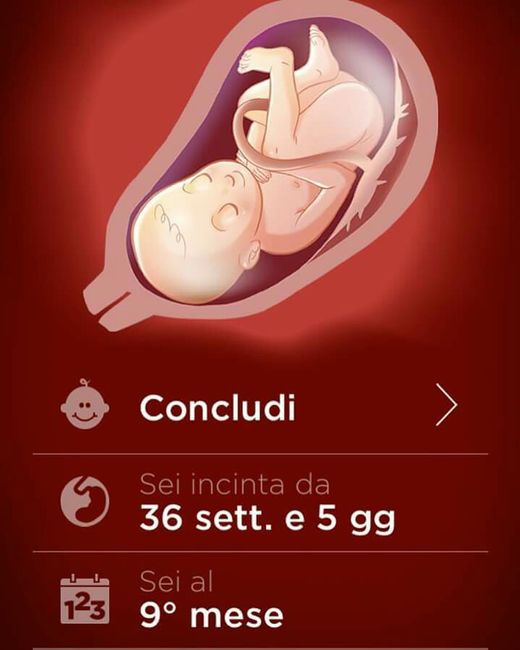 Un app valida per gravidanza - 1