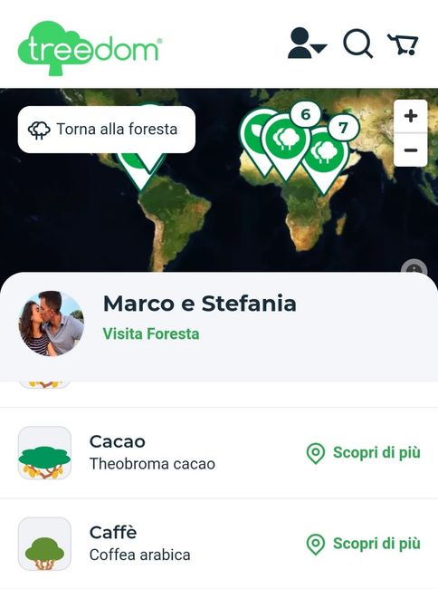 Mi mostrate le vostre bomboniere? 14