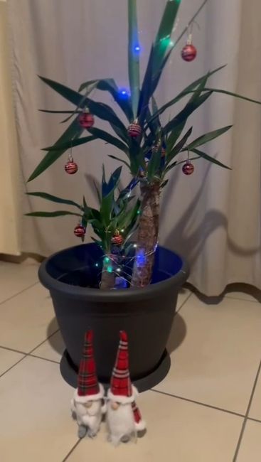 L’albero di Natale! 🎄 - 1