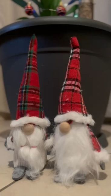 L’albero di Natale! 🎄 - 3