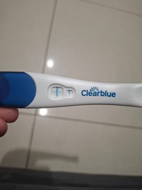 Chi non le aspetta per maggio 2025 🍀🌸🌺💐🌻 1