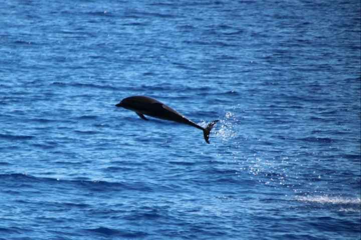 Esperienza da fare prima di sposarsi 🌊 - 1