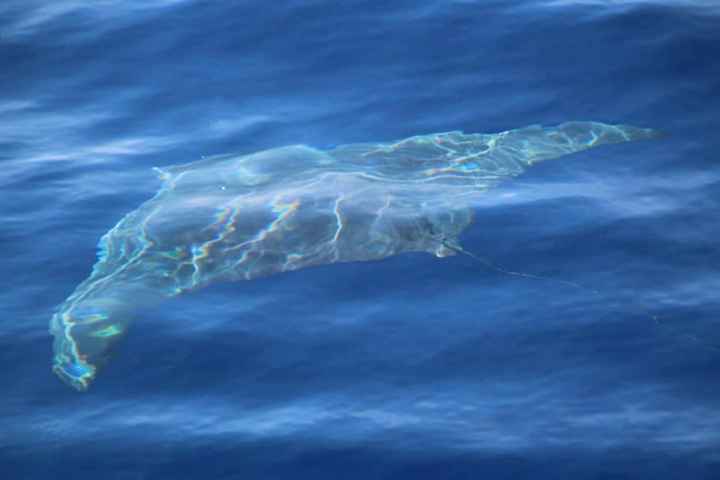 Esperienza da fare prima di sposarsi 🌊 - 4