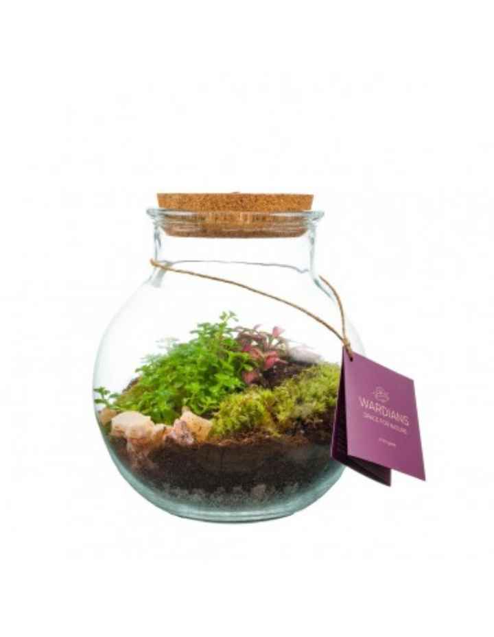 Info tappino case - 1