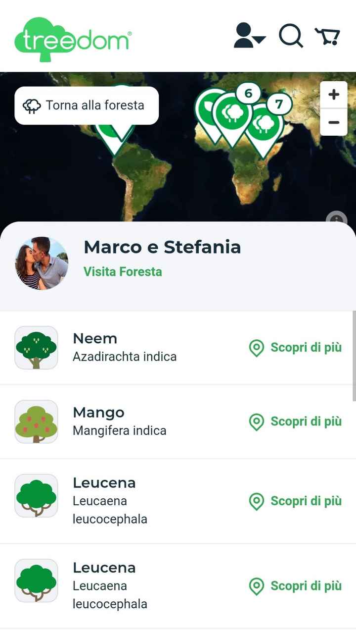 Mi mostrate le vostre bomboniere? - 2