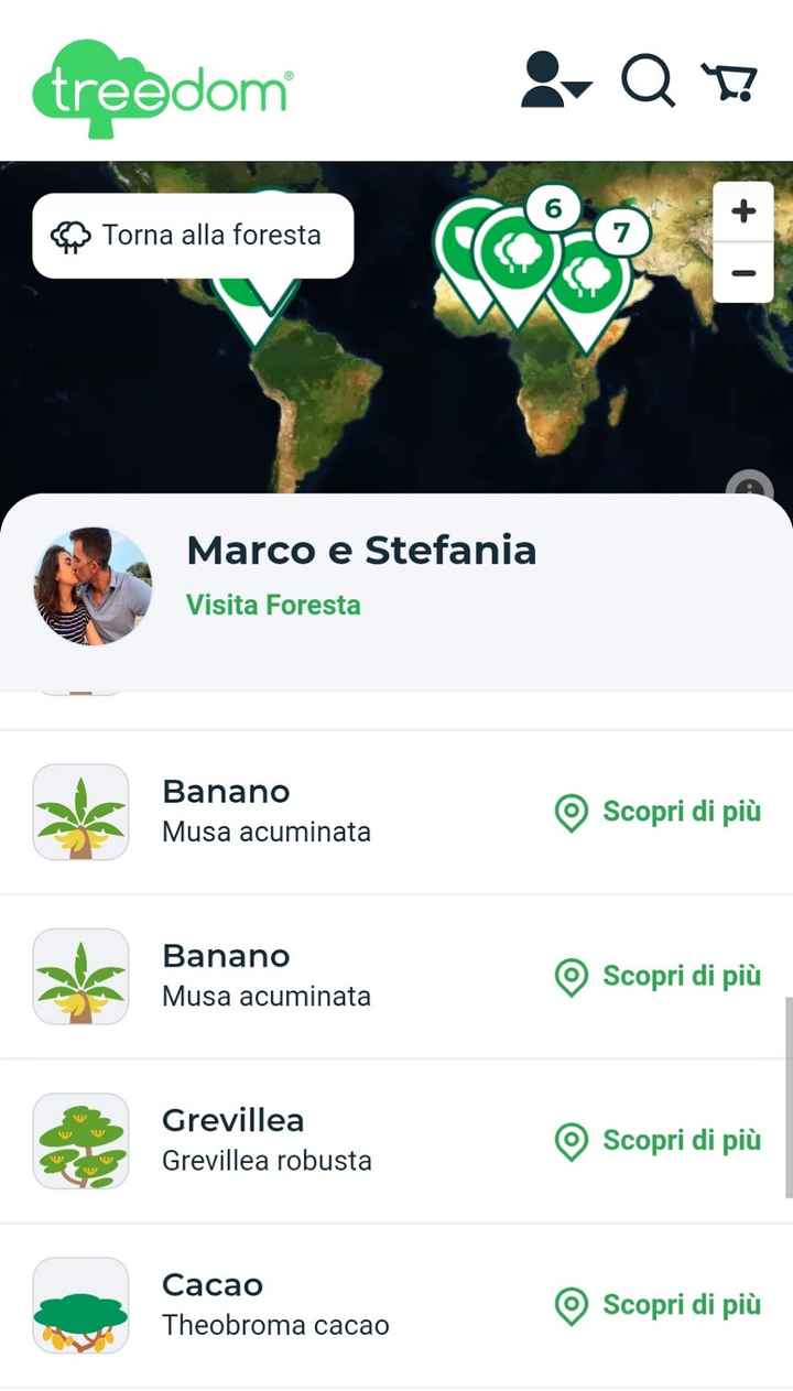 Mi mostrate le vostre bomboniere? - 4