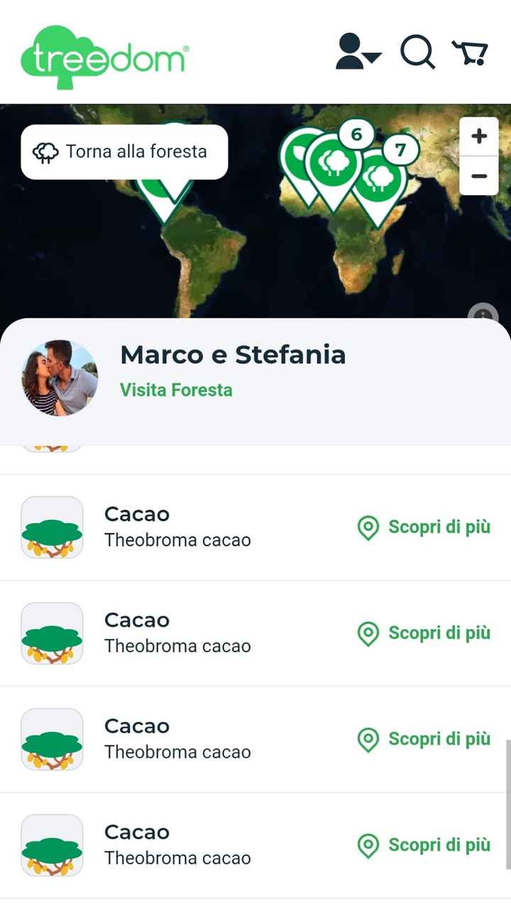 Mi mostrate le vostre bomboniere? - 5