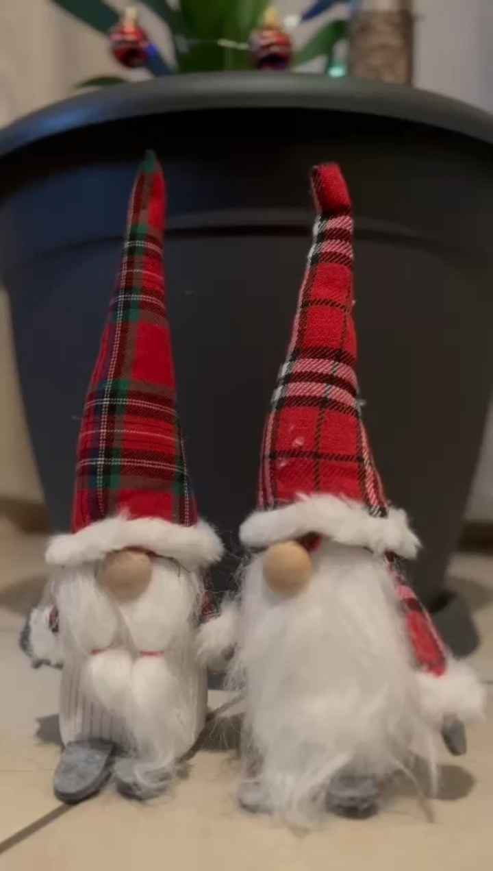 L’albero di Natale! 🎄 - 3