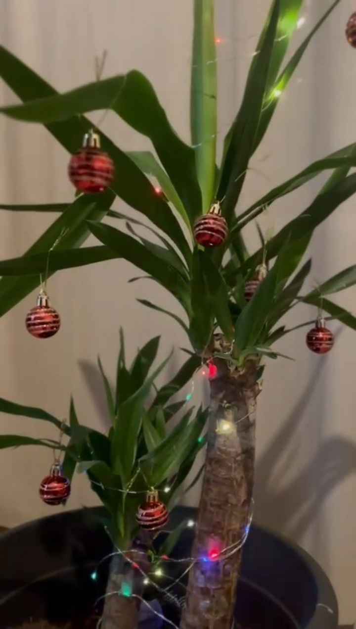 Ispirazioni per decorare la casa 🏡💗 - 2