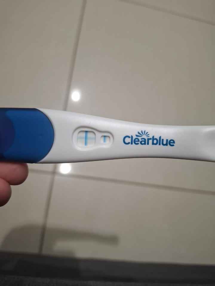 Chi non le aspetta per maggio 2025 🍀🌸🌺💐🌻 - 1