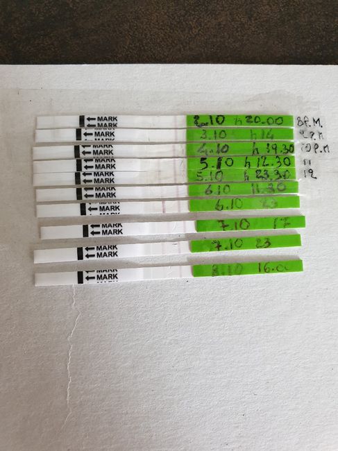 Test ovulazione canadesi 6