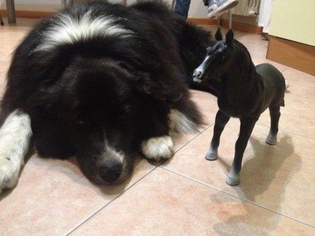 Il nostro country wedding  - 9