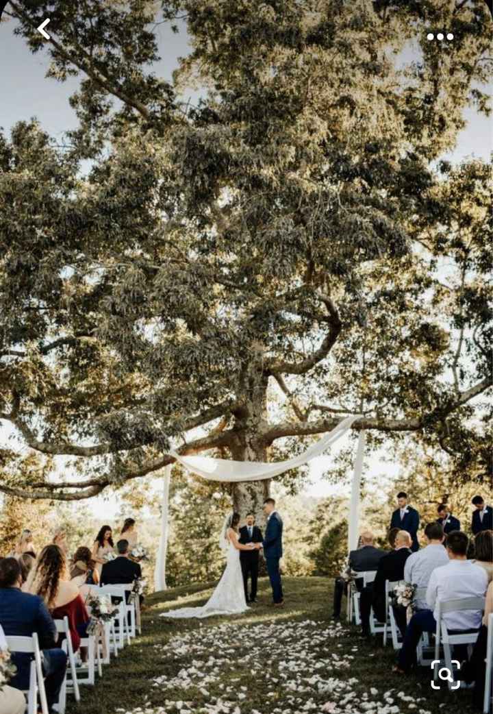 location Bosco! 🌲🌳 ✨ - 2