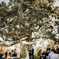 location Bosco! 🌲🌳 ✨ - 2