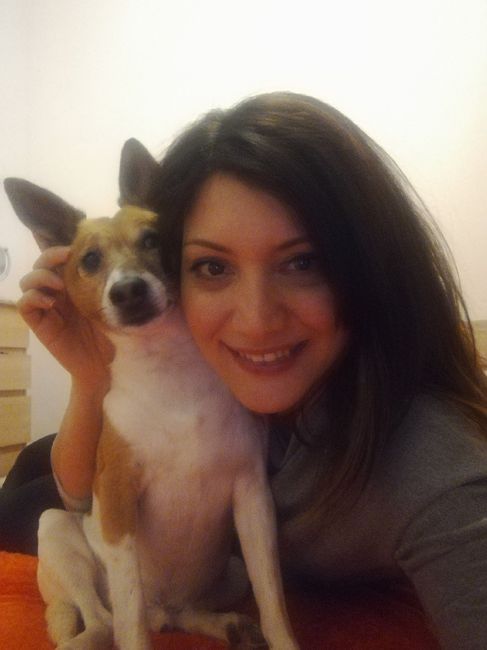 Foto di nozze con i nostri amici animali 11