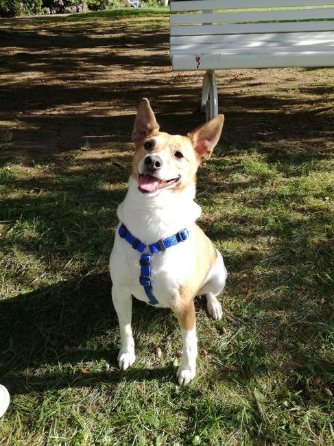 Save the date ❤️ 4