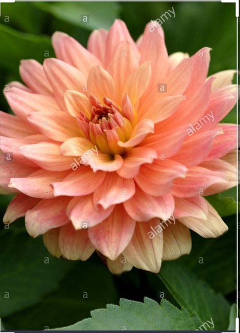 Allestimento chiesa 2