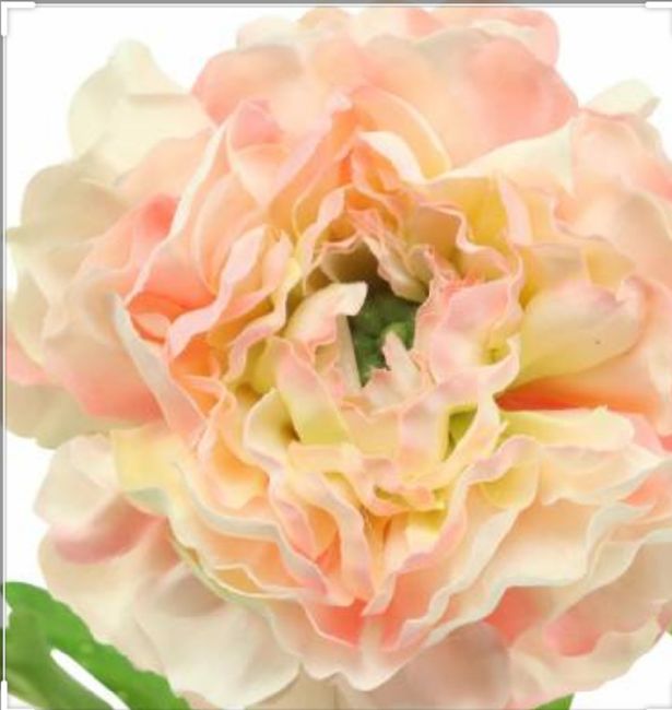 Allestimento chiesa 3