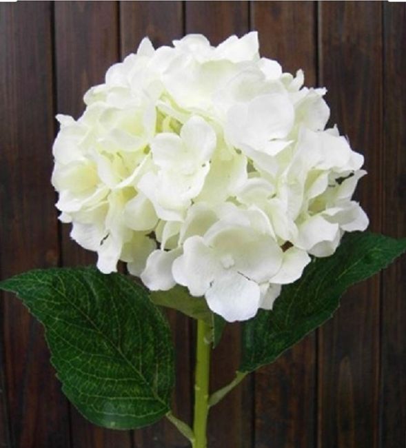 Allestimento chiesa 5