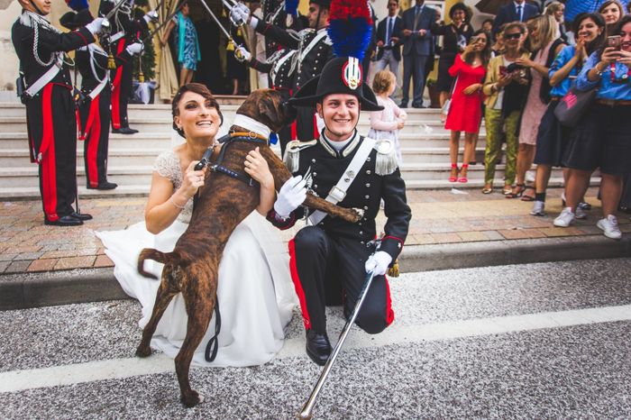 L'album delle tue nozze: la foto degli amici a 4 zampe 1