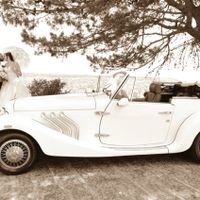 Ecco le foto ufficiali - 2