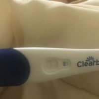 Chi non le aspetta per Marzo 2020 - 1