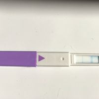 Chi non le aspetta per settembre 2020 🍀🐞🤞🌈🌻🎁🏖️🌞💝 - 1